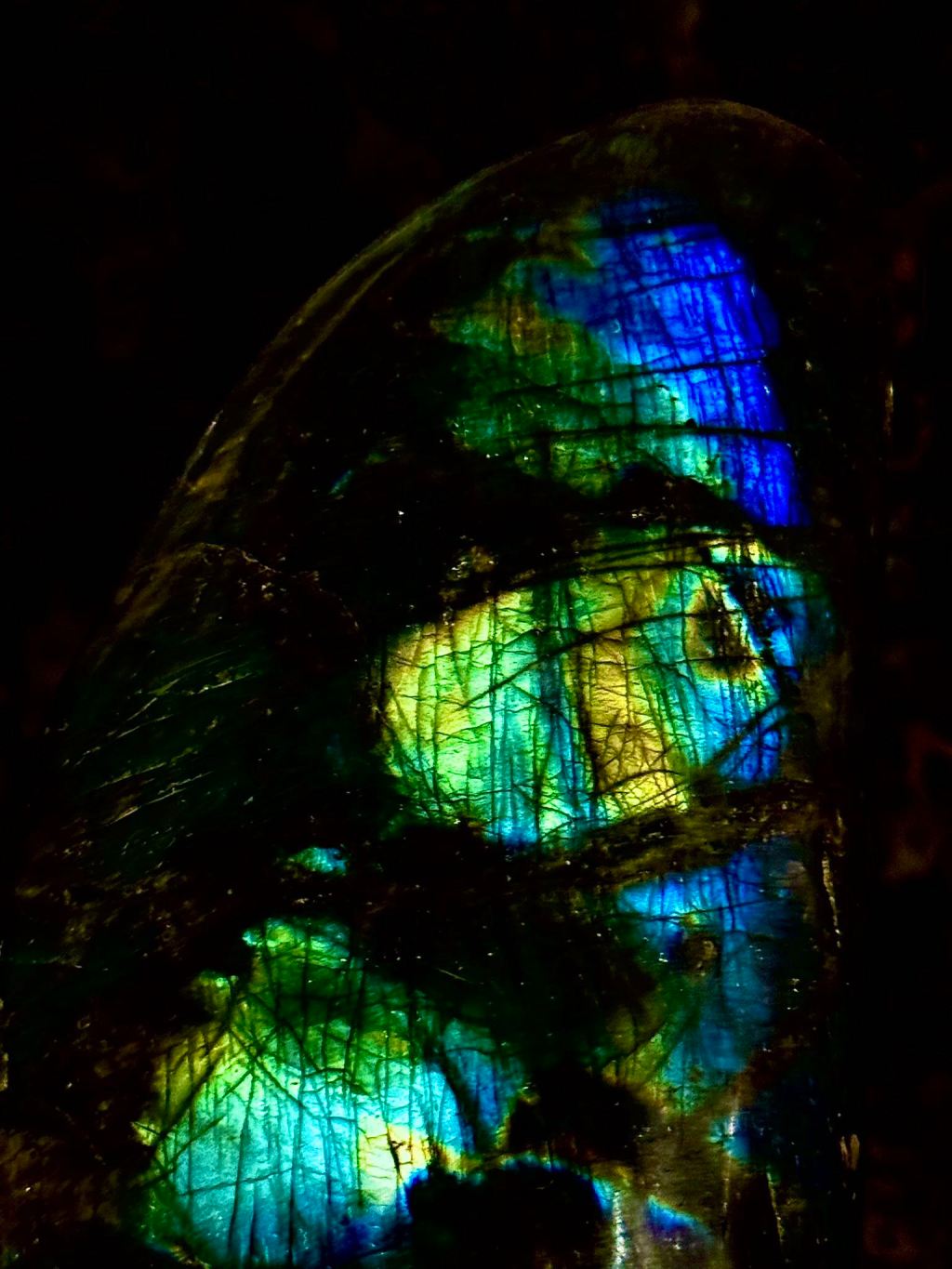 A trillion lifetimes. One lyrical&nbsp;voice.